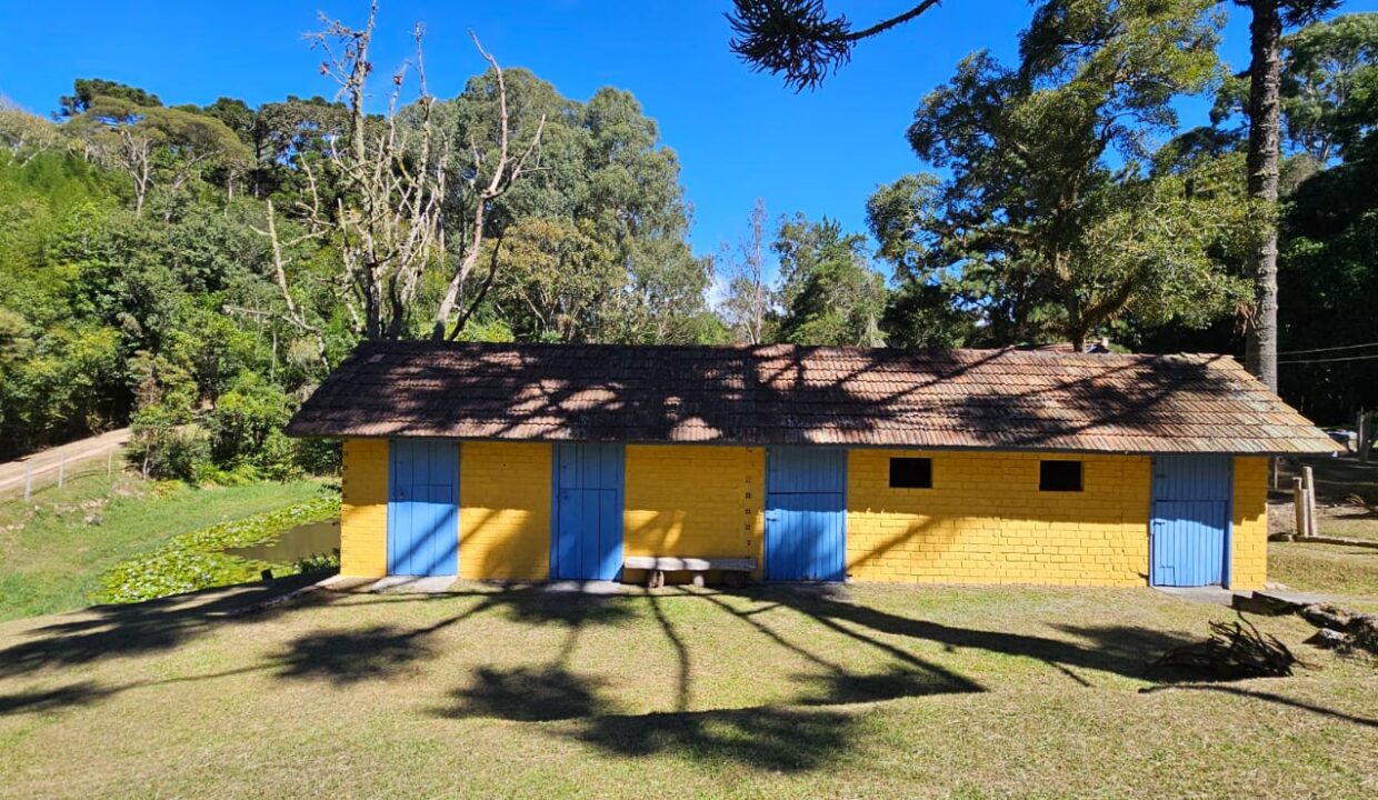 foto - nova 5